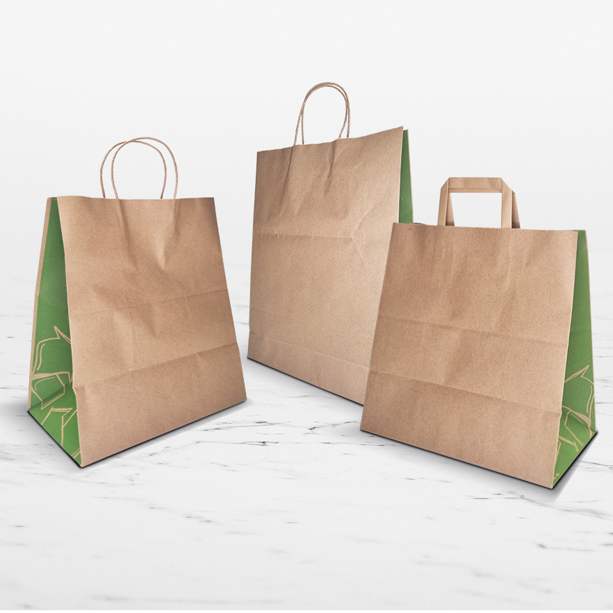 Carry Bags Twist Handles Medium Kraft & Green 250ctn
