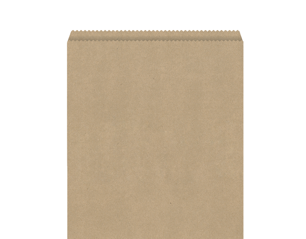 Flat Paper Bag #5 | Brown