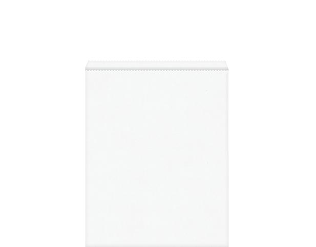 Flat Paper Bag #9 | White