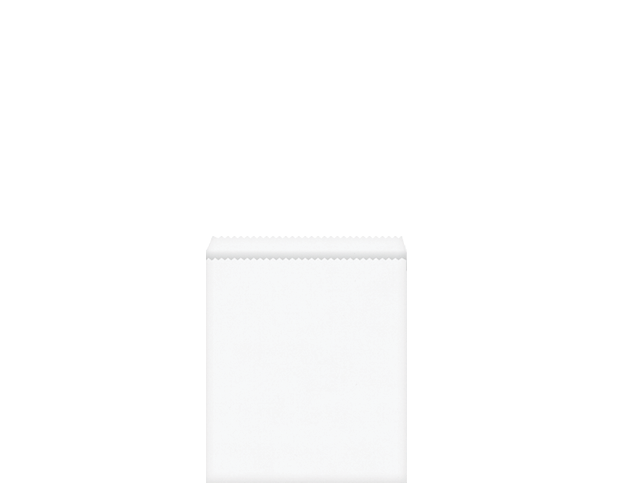 Flat Paper Bag #2 White