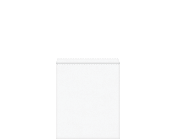 Flat Paper Bag #5 | White
