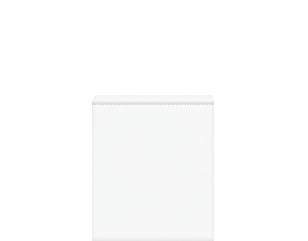 Flat Paper Bag #6 | White