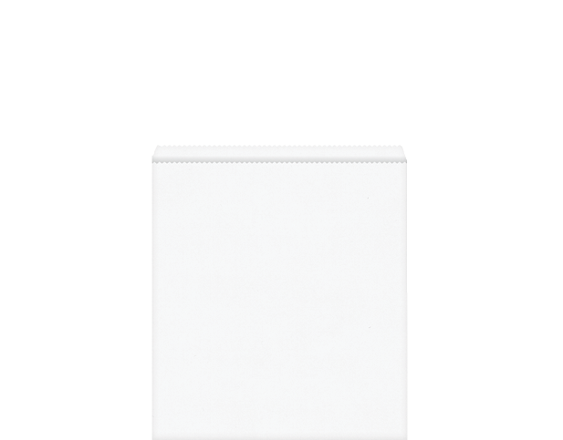 Flat Paper Bag #8 | White