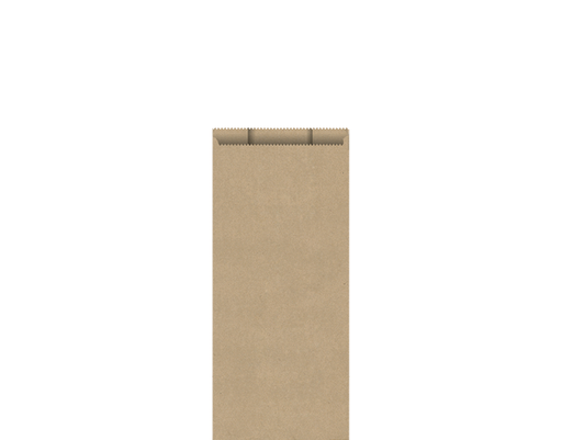 Double Bottle Paper Bag | Brown