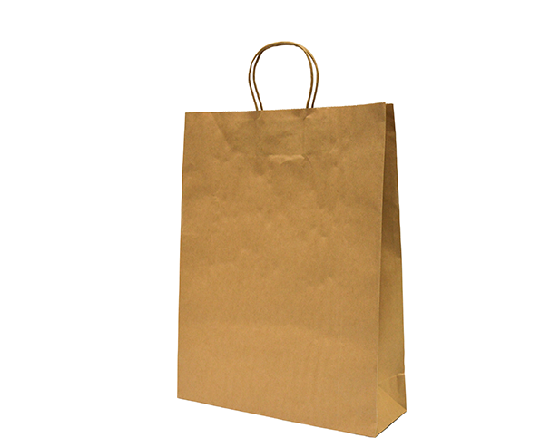 Medium Paper Carry Bag | Brown
