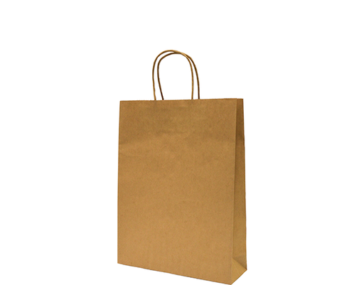 Small Paper Carry Bag | Brown