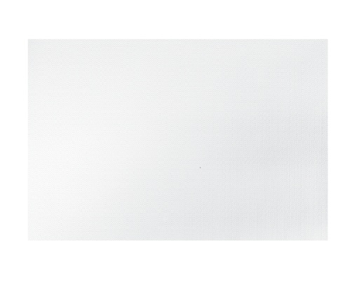 Parego® Placemats with Straight Edge - 235 x 350 mm