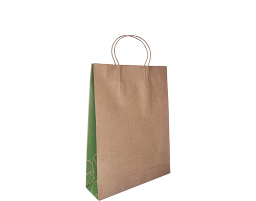 [CA-PCBS] Carry Bags Twist Handles Small Kraft & Green 250ctn